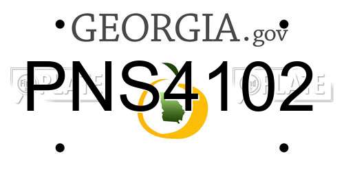 PNS4102 Georgia License Plate