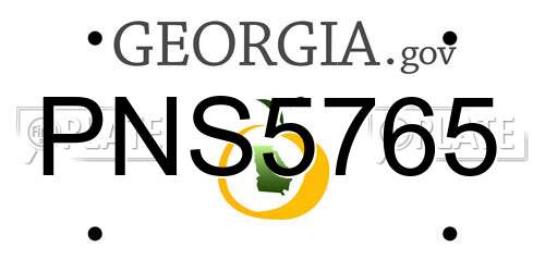 PNS5765 Georgia License Plate