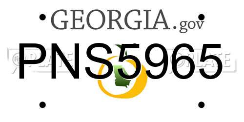 PNS5965 Georgia License Plate