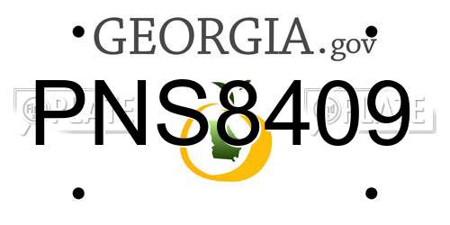 PNS8409 Georgia License Plate
