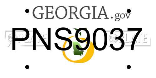 PNS9037 Georgia License Plate