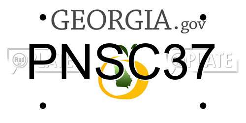 PNSC37 Georgia License Plate