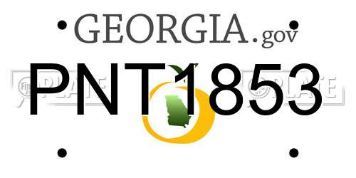 PNT1853 Georgia License Plate
