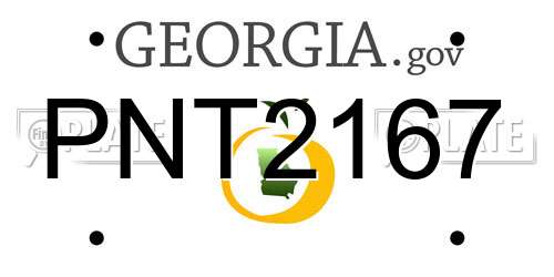 PNT2167 Georgia License Plate