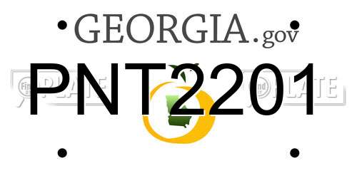 PNT2201 Georgia License Plate