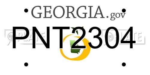 PNT2304 Georgia License Plate