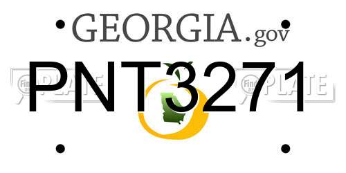 PNT3271 Georgia License Plate