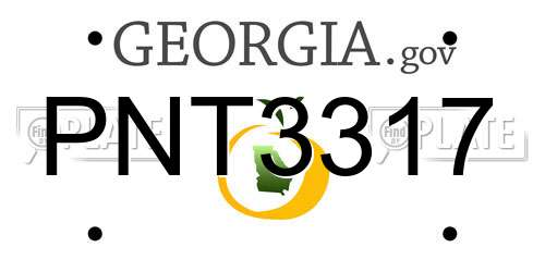 PNT3317 Georgia License Plate