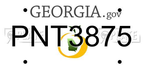PNT3875 Georgia License Plate