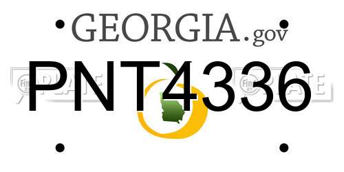 PNT4336 Georgia License Plate