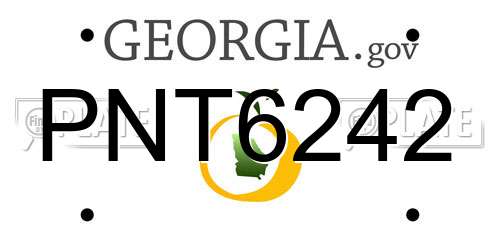 PNT6242 Georgia License Plate