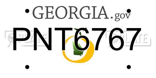 PNT6767 Georgia License Plate