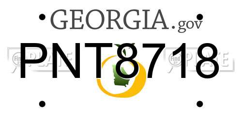 PNT8718 Georgia License Plate