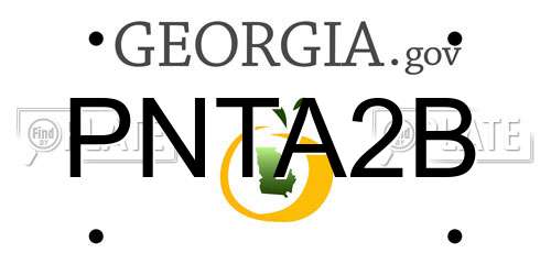 PNTA2B Georgia License Plate