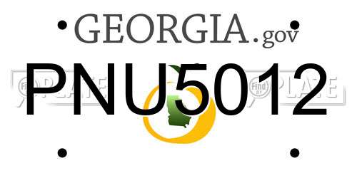 PNU5012 Georgia License Plate