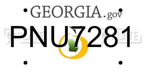 PNU7281 Georgia License Plate