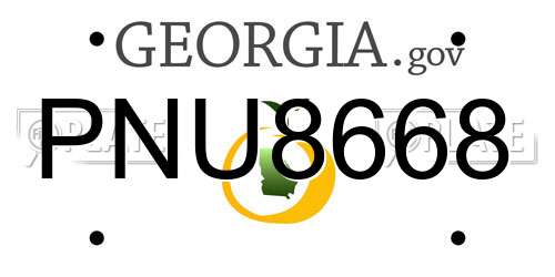 PNU8668 Georgia License Plate