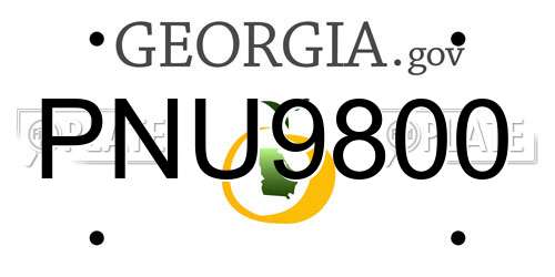 PNU9800 Georgia License Plate