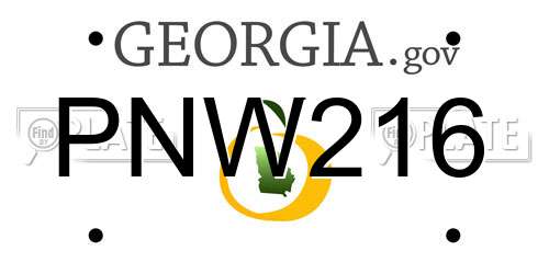 PNW216 Georgia License Plate