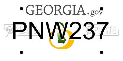 PNW237 Georgia License Plate