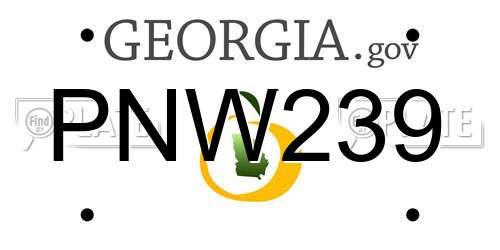 PNW239 Georgia License Plate