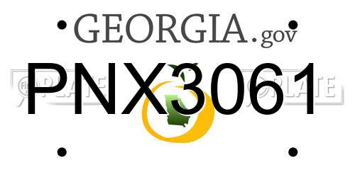PNX3061 Georgia License Plate