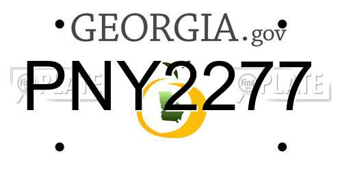 PNY2277 Georgia License Plate