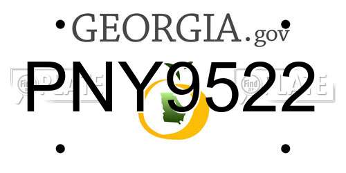 PNY9522 Georgia License Plate