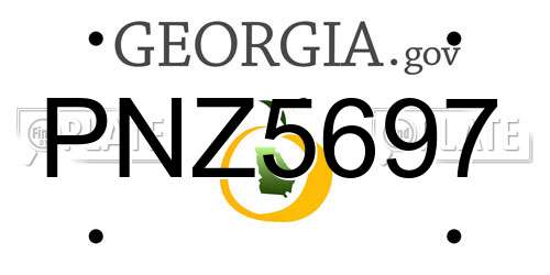PNZ5697 Georgia License Plate