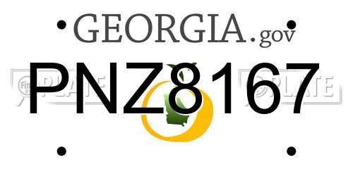 PNZ8167 Georgia License Plate