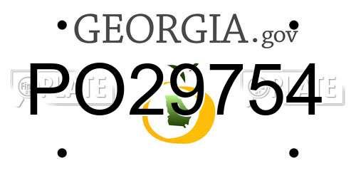 PO29754 Georgia License Plate