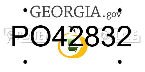 PO42832 Georgia License Plate