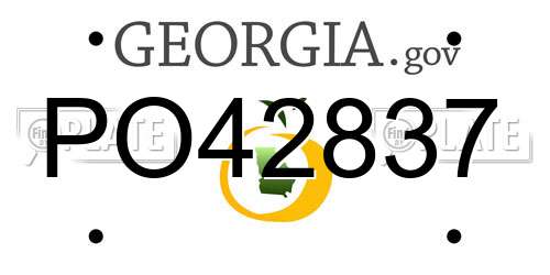PO42837 Georgia License Plate