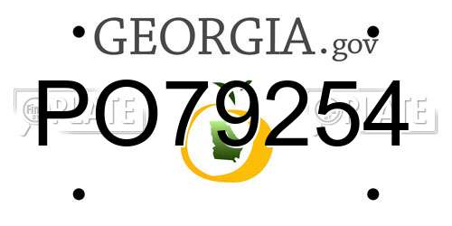 PO79254 Georgia License Plate