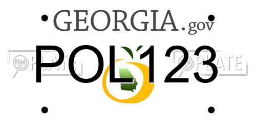 POL123 Georgia License Plate