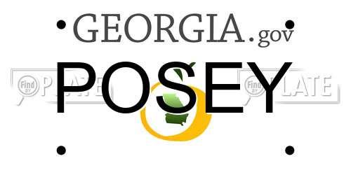 POSEY Georgia License Plate
