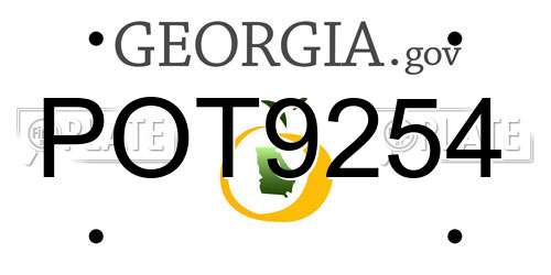 POT9254 Georgia License Plate