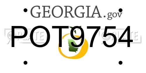 POT9754 Georgia License Plate