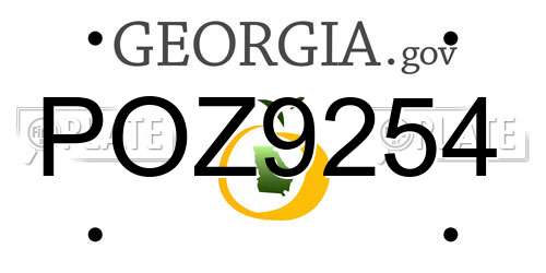POZ9254 Georgia License Plate