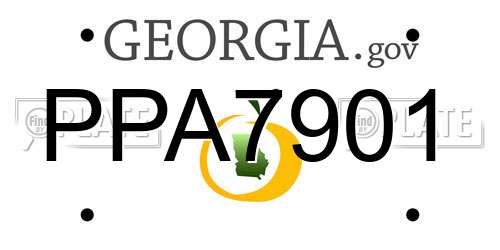 PPA7901 Georgia License Plate