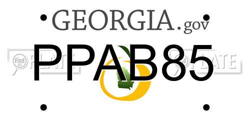 PPAB85 Georgia License Plate