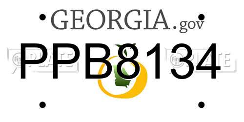 PPB8134 Georgia License Plate