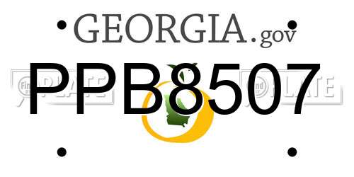 PPB8507 Georgia License Plate