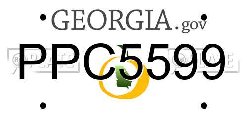 PPC5599 Georgia License Plate