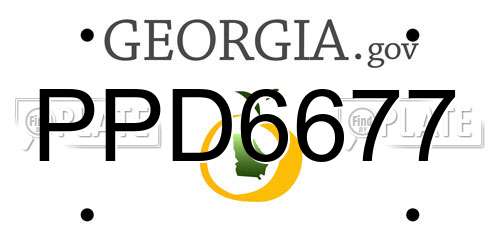 PPD6677 Georgia License Plate