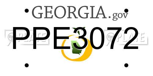 PPE3072 Georgia License Plate