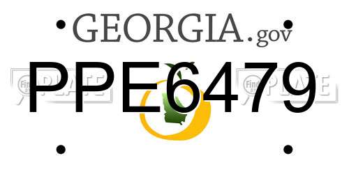 PPE6479 Georgia License Plate