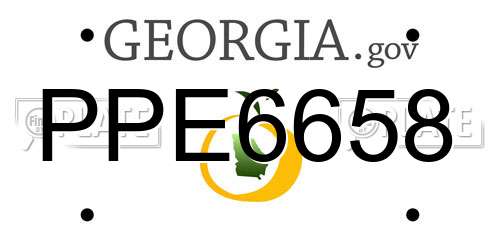 PPE6658 Georgia License Plate
