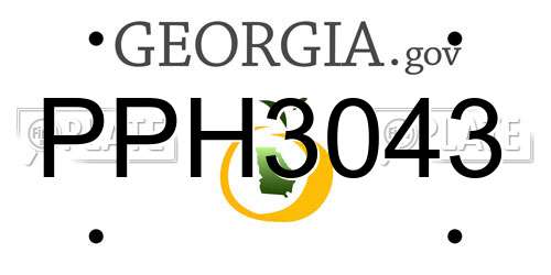 PPH3043 Georgia License Plate