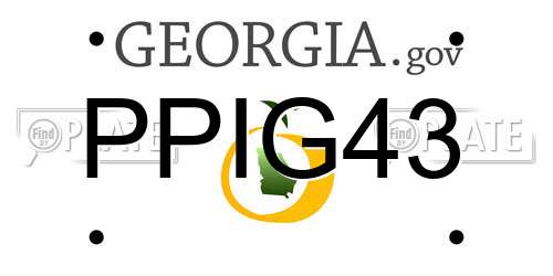 PPIG43 Georgia License Plate
